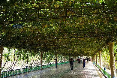 《明末：渊虚之羽》全新截图 鼓起勇气面对噩梦！